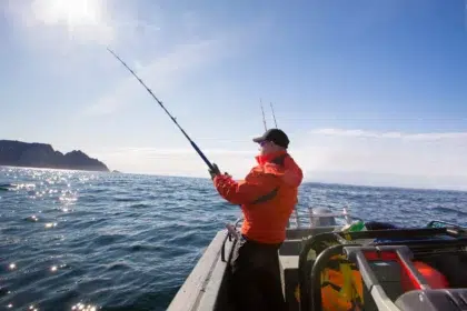 AdobeStock 136240263