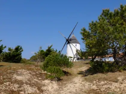 Moulins de vendée 3 AdobeStock 145784856