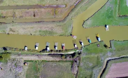 Culture maraichine 4 AdobeStock 174704749 1