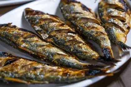 AdobeStock 1764515479