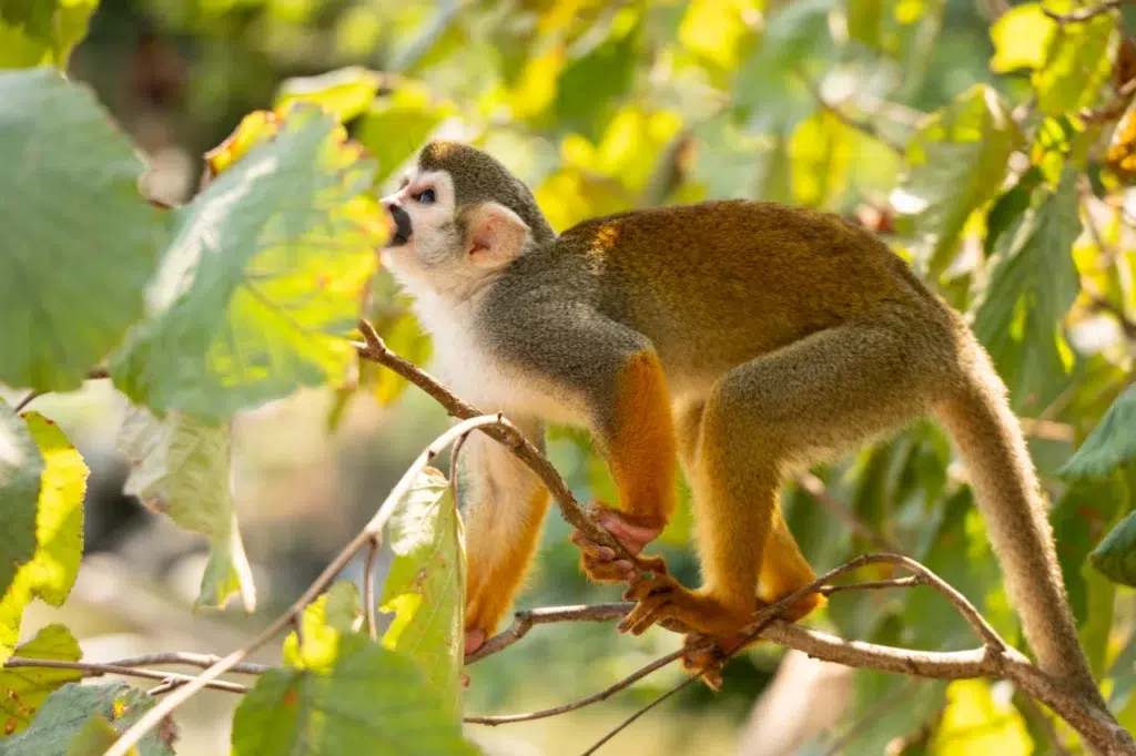 AdobeStock 1764826617 1