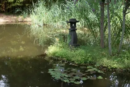 AdobeStock 184689384