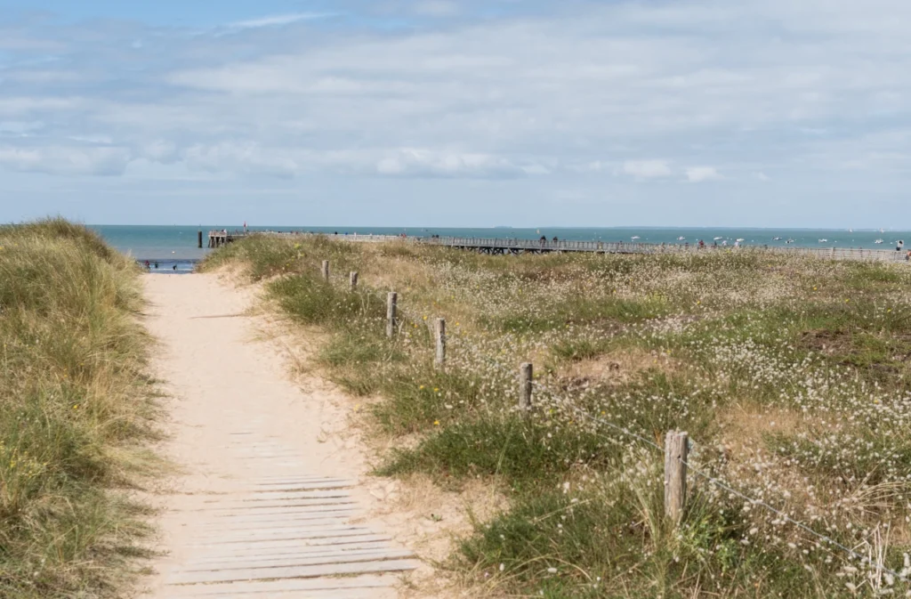 AdobeStock 365521727