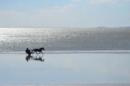 AdobeStock 422247361