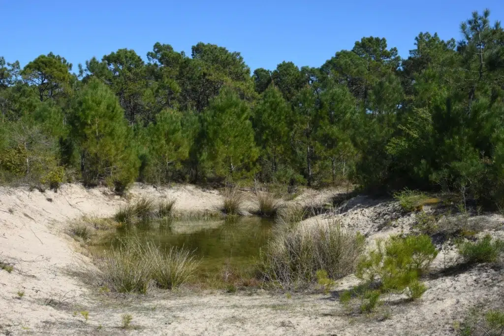 AdobeStock 426821489