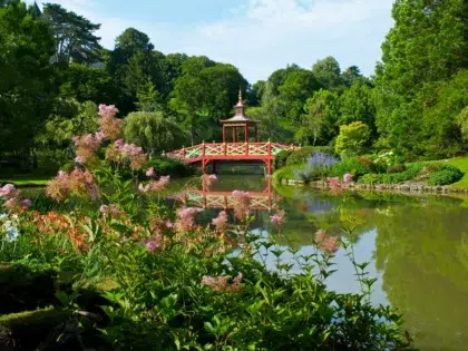 AdobeStock 431669387