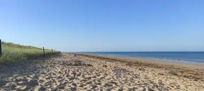 AdobeStock 468918259