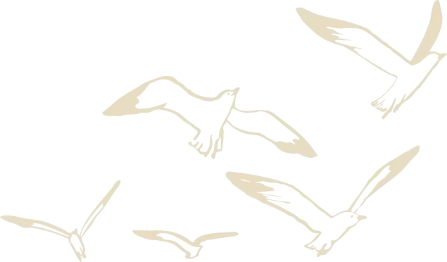 Accueil 3