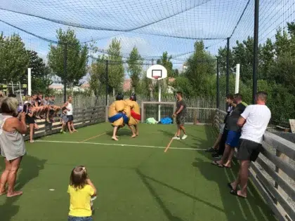 Camping Plein Sud Aires de Jeux SUMO