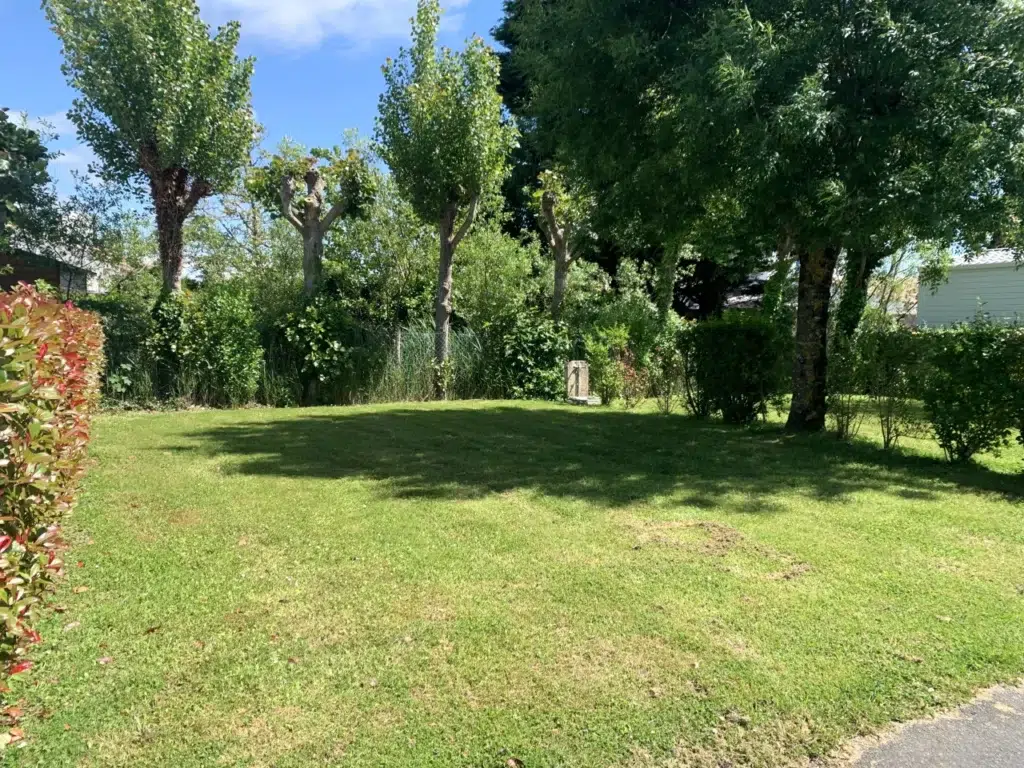 Plein Sud — photo 4
